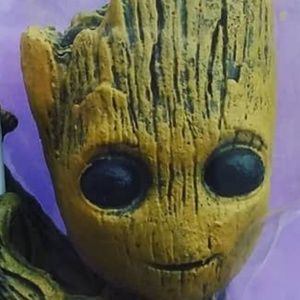 Meet your Posher, Robert